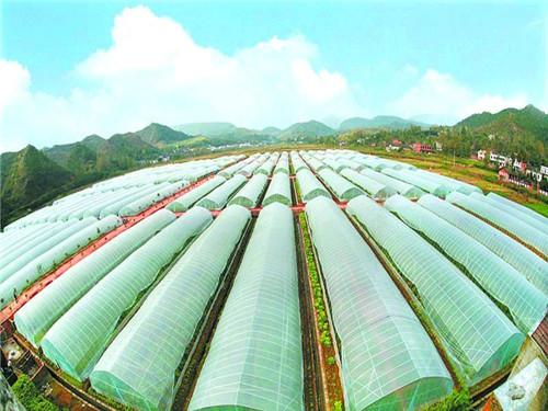 空气能热泵如何给植物养殖创造环境？