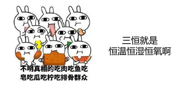 家装三恒系统品牌有哪些？